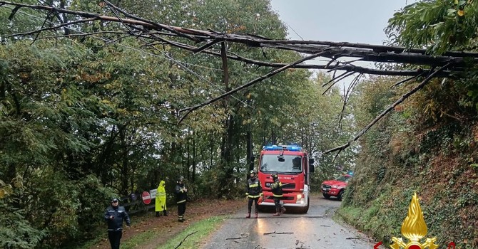 Maltempo, a Borgosesia alberi sulle strade e un’abitazione allagata Maltempo, a Borgosesia alberi sulle strade e un’abitazione allagata