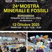 Borgosesia, torna la 24ª Mostra di Minerali e Fossili
