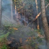 Incendio Monte Barone, Coggiola: "Non avvicinatevi per curiosità". Controlli e sanzioni Incendio Monte Barone, Coggiola: "Non avvicinatevi per curiosità". Controlli e sanzioni