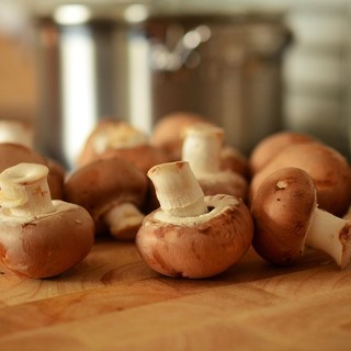 Tutto pronto a Mosso di Valdilana per la Sagra dei Funghi (foto di repertorio)