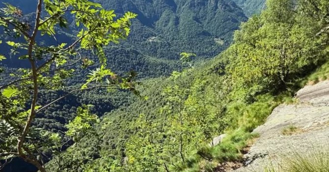 Escursionista scivola sul Monte Tovo, la caduta arrestata da un albero Escursionista scivola sul Monte Tovo, la caduta arrestata da un albero