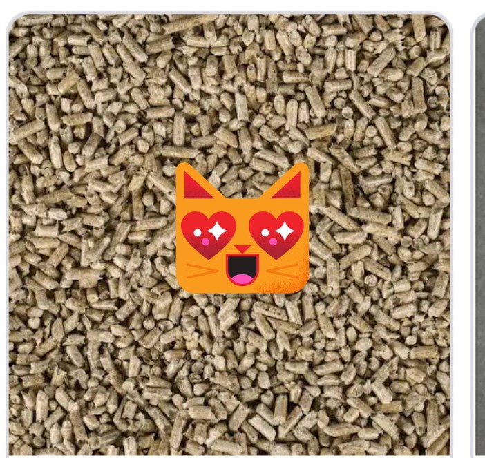 Gattinara: Appello per i mici del Il Giardino di Quark Gattinara: Appello per i mici del Il Giardino di Quark