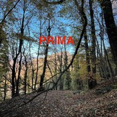 La squadra Aib di Quarona ripulisce la mulattiera di Valmaggiore: un esempio di impegno per il territorio La squadra Aib di Quarona ripulisce la mulattiera di Valmaggiore: un esempio di impegno per il territorio