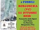 Borgosesia, l’11 ottobre la 25ª Mostra Minerali e Fossili al Palazzetto Loro Piana Borgosesia, l’11 ottobre la 25ª Mostra Minerali e Fossili al Palazzetto Loro Piana