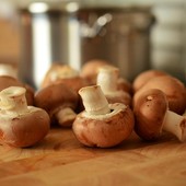 Tutto pronto a Mosso di Valdilana per la Sagra dei Funghi (foto di repertorio)