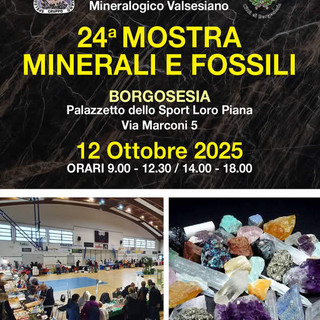 Borgosesia, torna la 24ª Mostra di Minerali e Fossili