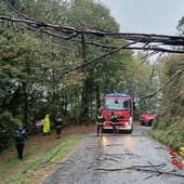 Maltempo, a Borgosesia alberi sulle strade e un’abitazione allagata Maltempo, a Borgosesia alberi sulle strade e un’abitazione allagata