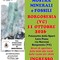 Borgosesia, l’11 ottobre la 25ª Mostra Minerali e Fossili al Palazzetto Loro Piana Borgosesia, l’11 ottobre la 25ª Mostra Minerali e Fossili al Palazzetto Loro Piana