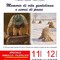 Grignasco celebra i 100 anni dalla nascita di Franco Fizzotti con la mostra “Memorie di vita quotidiana e scorci di paese”
