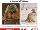 Grignasco celebra i 100 anni dalla nascita di Franco Fizzotti con la mostra “Memorie di vita quotidiana e scorci di paese”