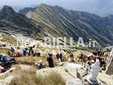 Valle Cervo, si è celebrata sabato l’annuale Santa Messa al Monte Bo FOTO e VIDEO Marina Bazzocchi per newsbiella.it Valle Cervo, si è celebrata sabato l’annuale Santa Messa al Monte Bo FOTO e VIDEO Marina Bazzocchi per newsbiella.it