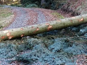 Mollia, approvato il progetto per la messa in sicurezza del territorio
