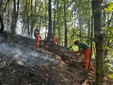Incendio Monte Barone, dopo 18 giorni il rogo è estinto: "Una battaglia estenuante" Incendio Monte Barone, dopo 18 giorni il rogo è estinto: "Una battaglia estenuante"