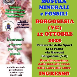 A Borgosesia la Mostra di minerali e fossili: appuntamento con la 25ª edizione