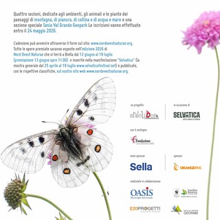 Nord Ovest Naturae Photo Contest 2026: torna il concorso di fotografia naturalistica con una sezione speciale sul Sesia Val Grande Geopark Nord Ovest Naturae Photo Contest 2026: torna il concorso di fotografia naturalistica con una sezione speciale sul Sesia Val Grande Geopark