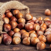 Nocciole piemontesi, Coldiretti chiede interventi urgenti alla Regione