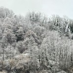“Quadri invernali” anche in Valsessera, gli scatti da Crevacuore (foto di Ermanno Orsi) “Quadri invernali” anche in Valsessera, gli scatti da Crevacuore (foto di Ermanno Orsi)