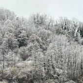 “Quadri invernali” anche in Valsessera, gli scatti da Crevacuore (foto di Ermanno Orsi)