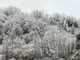 “Quadri invernali” anche in Valsessera, gli scatti da Crevacuore (foto di Ermanno Orsi)