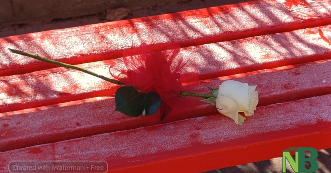 25 novembre, Giornata contro la violenza sulle donne: una donna su tre è vittima di violenza