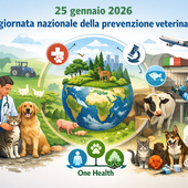 Oggi, 25 gennaio: 1ª giornata nazionale della prevenzione veterinaria Oggi, 25 gennaio: 1ª giornata nazionale della prevenzione veterinaria