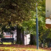 Borgosesia, pubblicato il nuovo bando per il bar del Parco Magni