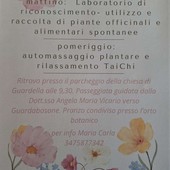 A Guardabosone una giornata tra piante spontanee, benessere e Tai Chi