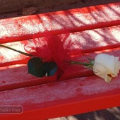 25 novembre, Giornata contro la violenza sulle donne: una donna su tre è vittima di violenza