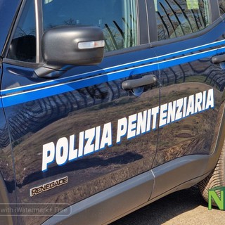 Polizia Penitenziaria, il Sappe: "Al via la sperimentazione dello spray urticante come strumento di dissuasione e difesa" Polizia Penitenziaria, il Sappe: "Al via la sperimentazione dello spray urticante come strumento di dissuasione e difesa"