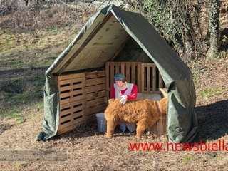 Rivò, il presepe da vivere: un viaggio nel Natale di una volta FOTO e VIDEO Catia Ciccarelli e Mauro Bedenetti per newsbiella.it