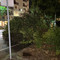 In foto, l'albero caduto a Biella In foto, l'albero caduto a Biella