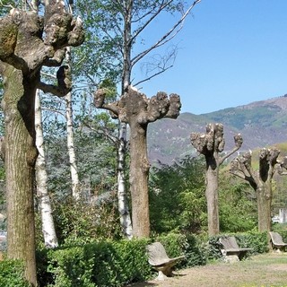 Valdilana, al Parco Reda una festa speciale dedicata a famiglie e alunni (foto di repertorio)