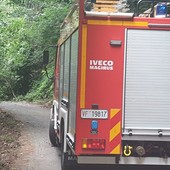 Maltempo nel Biellese, pianta cade su un palo Enel a Vallanzengo, foto archivio