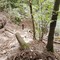Monte Fenera, ripristinato il sentiero 779 tra Bertasacco e Ara Monte Fenera, ripristinato il sentiero 779 tra Bertasacco e Ara