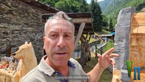Marco Schena, lo scultore del bosco