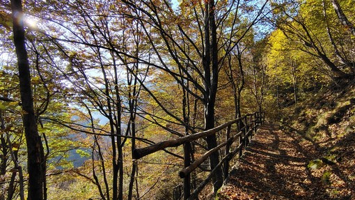 Sentieri tra Campello Monti, Rimella e il Vallone di Roj: finanziato il progetto di ripristino nella Valsesia Sentieri tra Campello Monti, Rimella e il Vallone di Roj: finanziato il progetto di ripristino nella Valsesia