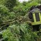 Pianta sulla strada in serata, Vigili del Fuoco al lavoro tra Sostegno e Crevacuore (foto di repertorio) Pianta sulla strada in serata, Vigili del Fuoco al lavoro tra Sostegno e Crevacuore (foto di repertorio)