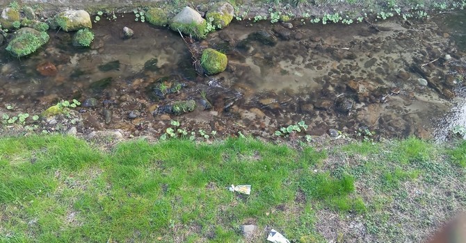 Quarona, vandalizzata la mostra dedicata alle Madri Costituenti