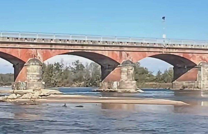 Ponte sul Cervo tra Quinto e Oldenico, nuove indagini sulla struttura: obiettivo riapertura entro fine anno Ponte sul Cervo tra Quinto e Oldenico, nuove indagini sulla struttura: obiettivo riapertura entro fine anno