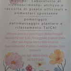 A Guardabosone una giornata tra piante spontanee, benessere e Tai Chi A Guardabosone una giornata tra piante spontanee, benessere e Tai Chi