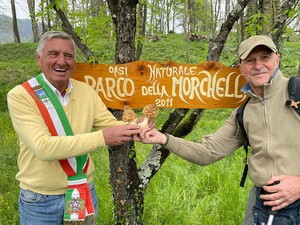 Varallo, il sindaco alla ricerca delle morchelle: escursione tra tradizione e territorio Varallo, il sindaco alla ricerca delle morchelle: escursione tra tradizione e territorio