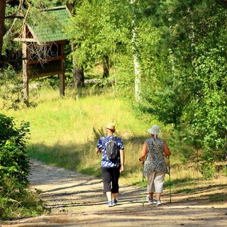 Fobello: Al via un nuovo Servizio di Noleggio bici e attrezzatura per escursioni