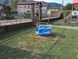 Borgosesia prepara la nuova stagione: nuove fioriture, alberi ripiantati e giochi rinnovati nei parchi