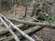 Monte Fenera, ripristinato il sentiero 779 tra Bertasacco e Ara Monte Fenera, ripristinato il sentiero 779 tra Bertasacco e Ara