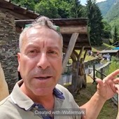 Marco Schena, lo scultore del bosco