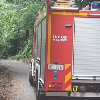 Maltempo nel Biellese, pianta cade su un palo Enel a Vallanzengo, foto archivio