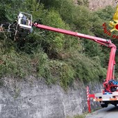 Varallo: Pianta sulla carreggiata lungo la strada per Morondo, intervengono i Vigili del Fuoco