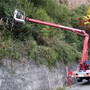Varallo: Pianta sulla carreggiata lungo la strada per Morondo, intervengono i Vigili del Fuoco