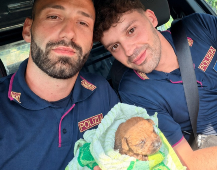 Cucciolo intrappolato nelle condotte fognarie: salvato e ricongiunto alla madre