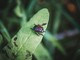Foto di Richie Bettencourt - tamite Unsplash